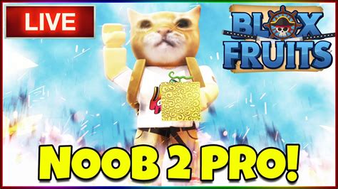Blox Fruits Noob To Pro Lvl 1700 Grinding And Raids Youtube