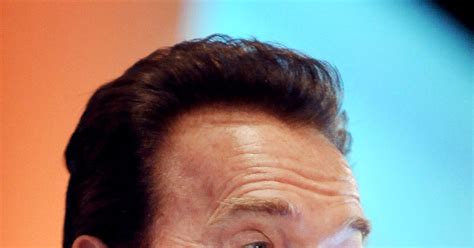(redirected from cry macho (novel)). Arnold Schwarzenegger Picks His Next Film: Cry Macho