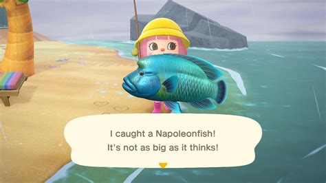 All Of The Fish And Bugs Joining Animal Crossing New Horizons In July