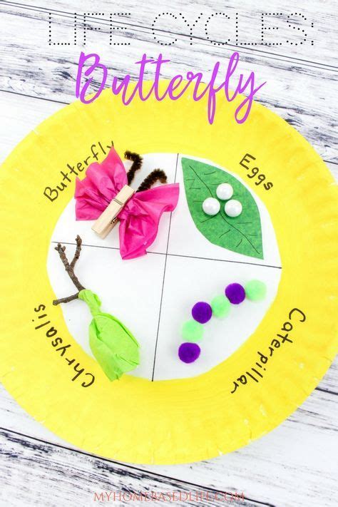 The Life Cycle Of A Butterfly The Perfect Art And Craft Project For