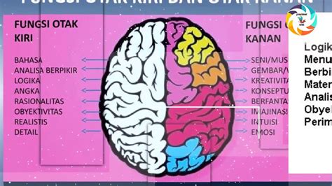 Jangan lupa like, share dan. Perbedaan Otak Kanan dan Otak Kiri Yang Harus Anda Tau ...