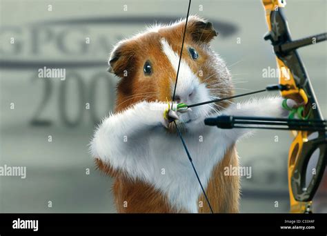 Dubbed Guinea Pig Games Hi Res Stock Photography And Images Alamy