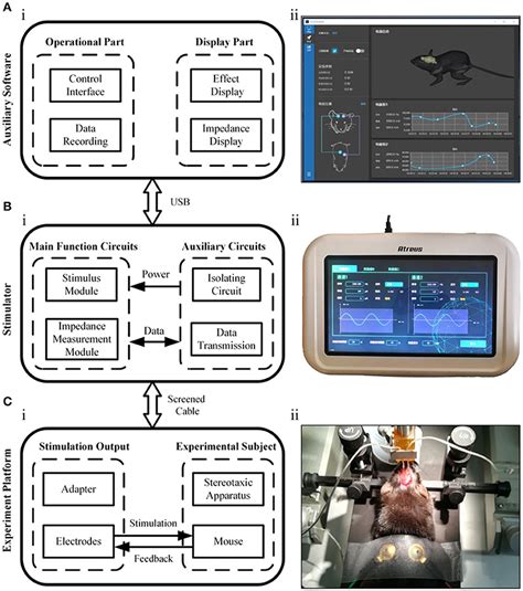 Frontiers Development Of A Non Invasive Deep Brain Stimulator With