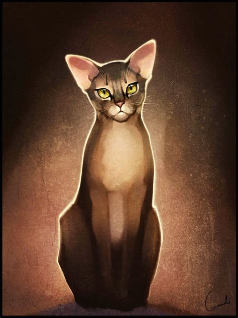 Diana My Abyssinian Cat Abyssinian Cats Cats Illustration Cat