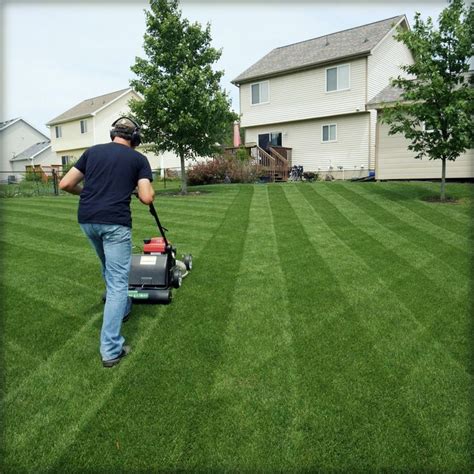 Clean Cut Lawn Care And Landscaping Letty Pham
