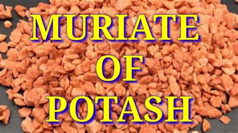 Muriate Of Potash How Its Made Uses Purpose Potassium Chloride