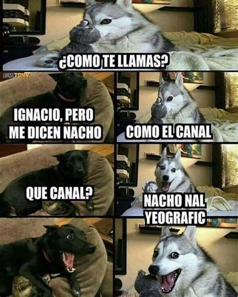 Memes De Humor 2017 Imagenes Chistosas