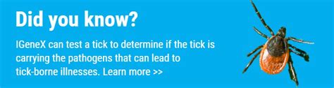 How To Identify Tick Bites Tick Bite Pictures Igenex Tick Talk