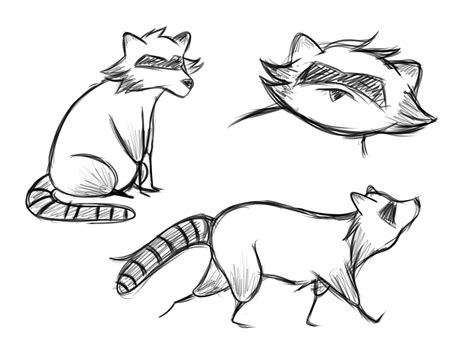 Raccoon Sketches By Triskata On Deviantart