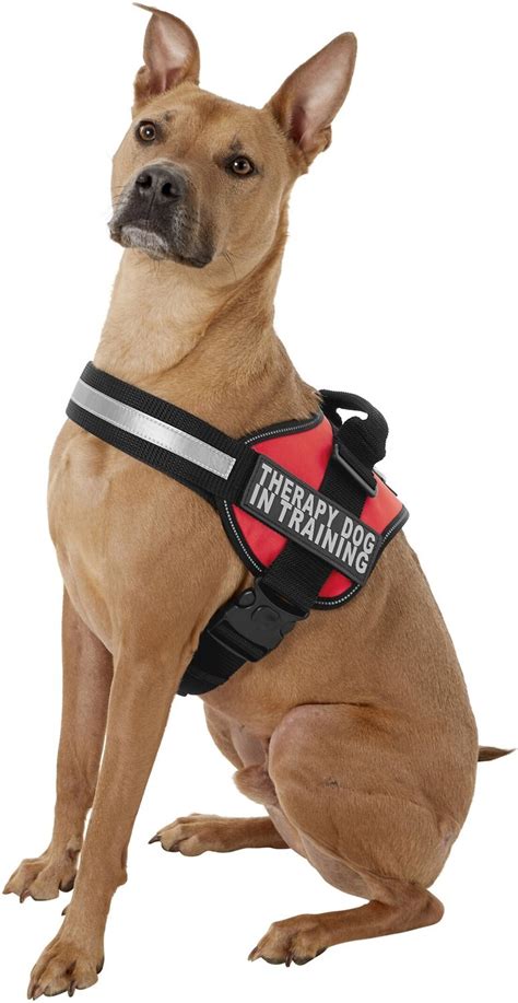 Doggie Stylz Therapy Dog In Training Dog Harness Red Large