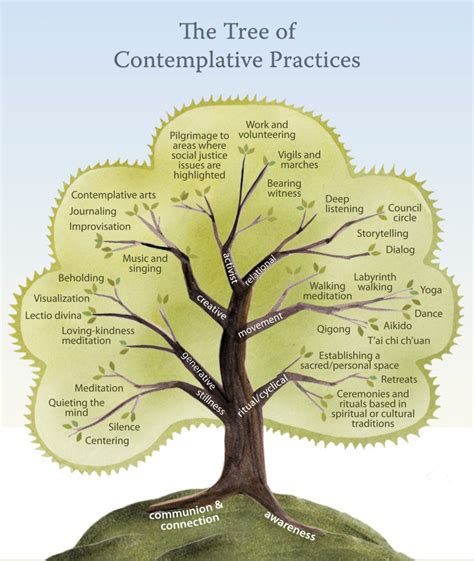 The Tree Of Contemplative Practices On Being Contemplation