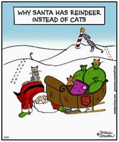 Why Santa Has Reindeer Inetead Of Cats Christmas Humor Christmas