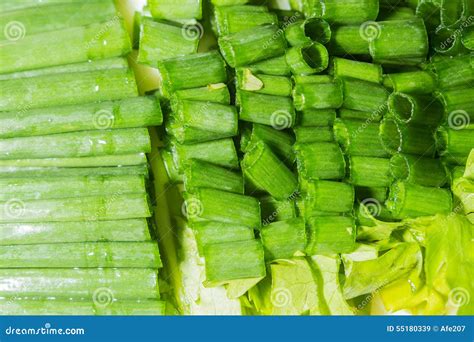 Spring Onion And Coriander Sliced For Garnish Stock Image Image Of