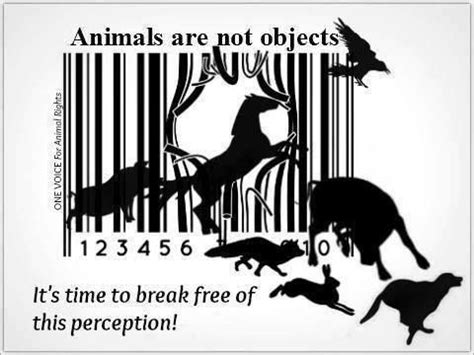 Image may contain: one or more people and text | Animal rights, Animal