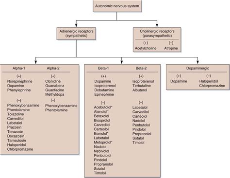 13 Drugs That Affect The Central Nervous System Nurse Key