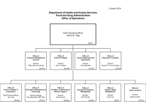 Organizational Chart Infrastructure And Operations Division