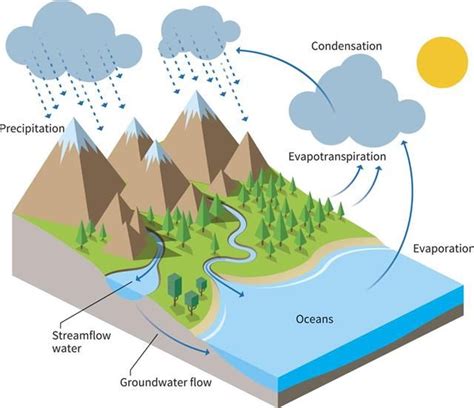 Water Cycle Project Ideas Science Struck In 2021 Water Cycle