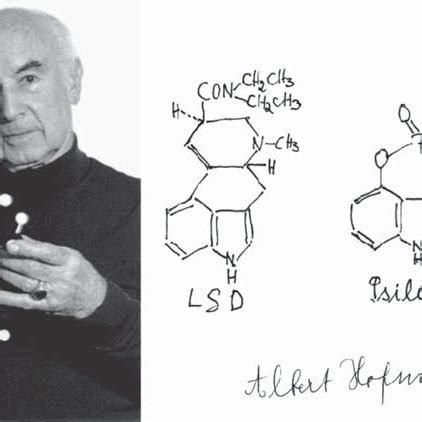 (PDF) Albert Hofmann, the father of LSD (1906-2008)