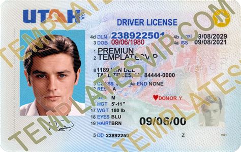 Templates 2023 Templates Drivers Licenses Premium