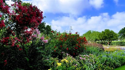 Landscape design, installation, and maintenance. Landscape design, Installation, irrigation and ...