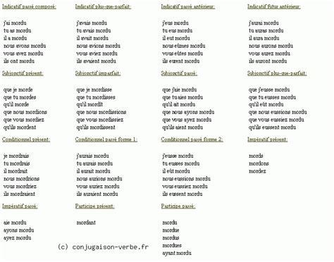 Conjugaison du verbe mordre