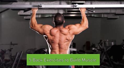 5 Back Exercises To Build Muscle Tiger Muay Thai And Mma Training Camp