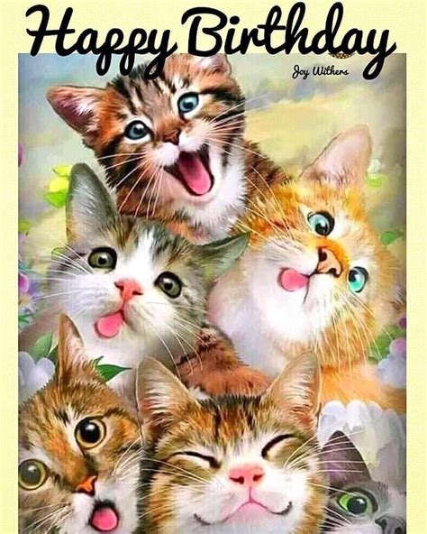 Cute Cats Birthday Greeting Card Cat Birthday Wishes Happy Birthday