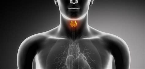 Natural Thyroid Medicine Threatened
