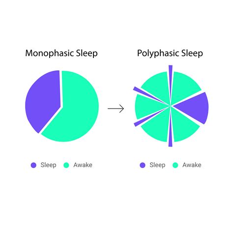 The Benefits And Risks Of Polyphasic Sleep