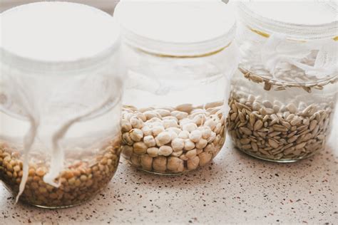 Fermenting Grains Beans Nuts Seeds Sofie Van Kempen