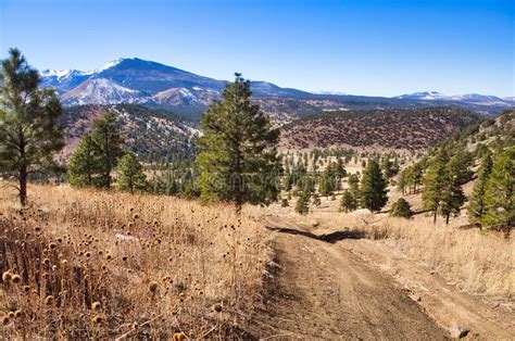 San Francisco Peaks Near Flagstaff Arizona Stock Image Image Of Peak