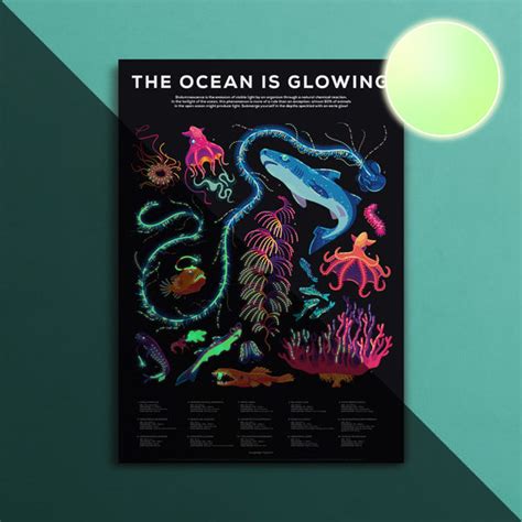 Glowing Creatures Poster Glow In The Dark The Kurzgesagt Shop