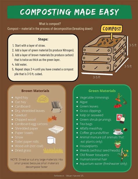 A Beginners Guide To Composting — Urban Harvest Stl
