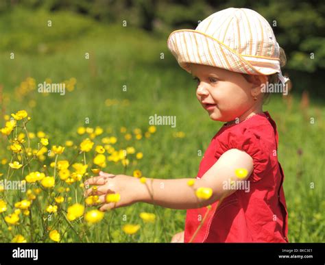 Baby On Meadow Stock Photo Alamy