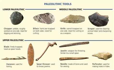 The Stone Age The Paleolithic Age