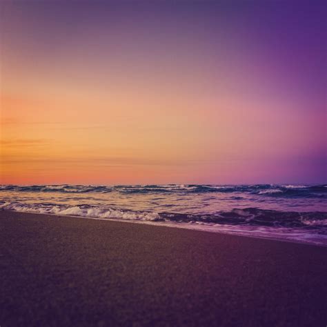 Colorful Beach Sunset Free Stock Photo Public Domain Pictures