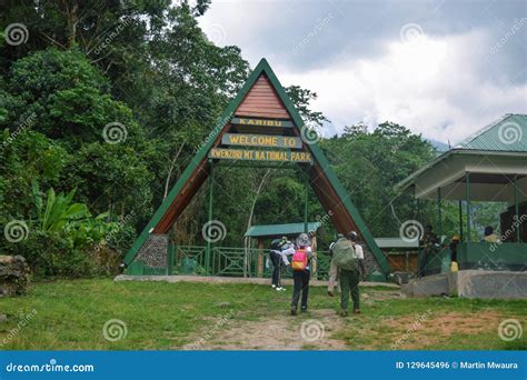 Hikers At The Gate Of Rwenzori Mountains National Uganda Editorial