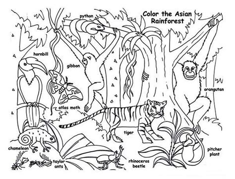 Rainforest Animals Coloring Page Download And Print Online Coloring
