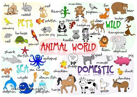 Anas Esl Blog Vocabulary About Animals