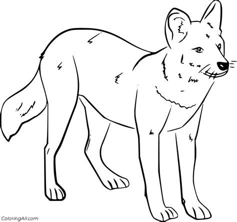 4 Free Printable Dhole Coloring Pages Easy To Print From Any Device And Automatically Fit Any