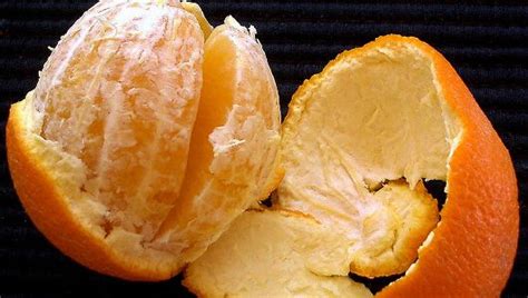 Orange Peels Could Be Made Into Biodegradable Plastic Healthy