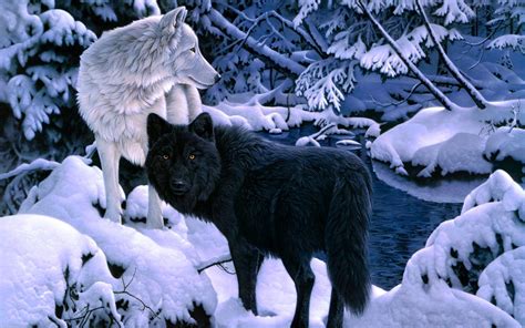 10 Most Popular Black And White Wolves Wallpaper Full Hd 1920×1080 For