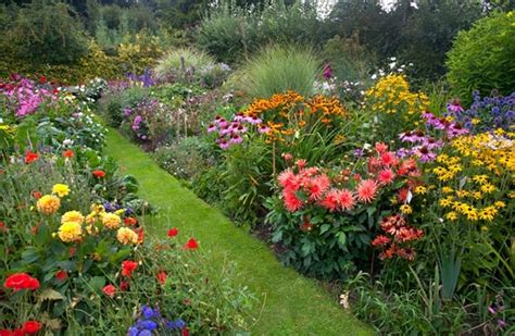 How To Create A Wildflower Cottage Garden Lovely Greens