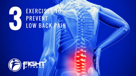 3 Exercises To Prevent Low Back Pain Fight Fitness