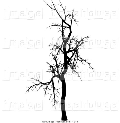 Leafless Tree Clipart 20 Free Cliparts Download Images On Clipground 2024