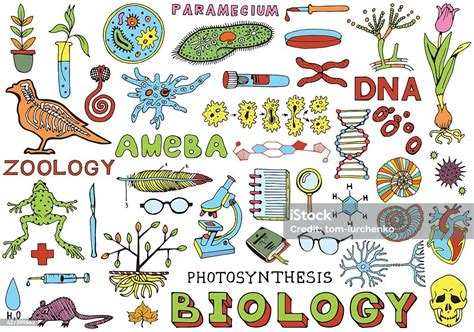 Biología Ciencia Garabato Mano Dibujar Elementos Aislados Ciencia Y
