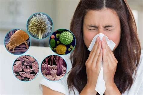 How To Reduce Allergens In Your Home Practical Tips That Can Help You