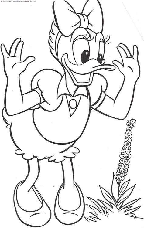 Dibujo De El Pato Donald Para Colorear Dibujos Infantiles De El Pato Sexiz Pix