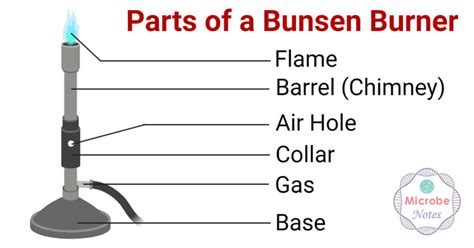 Parts Of The Bunsen Burner Diagram Quizlet Vrogue Co