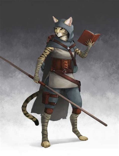Tabaxi Dandd Character Dump Fantasy Character Design Dungeons And